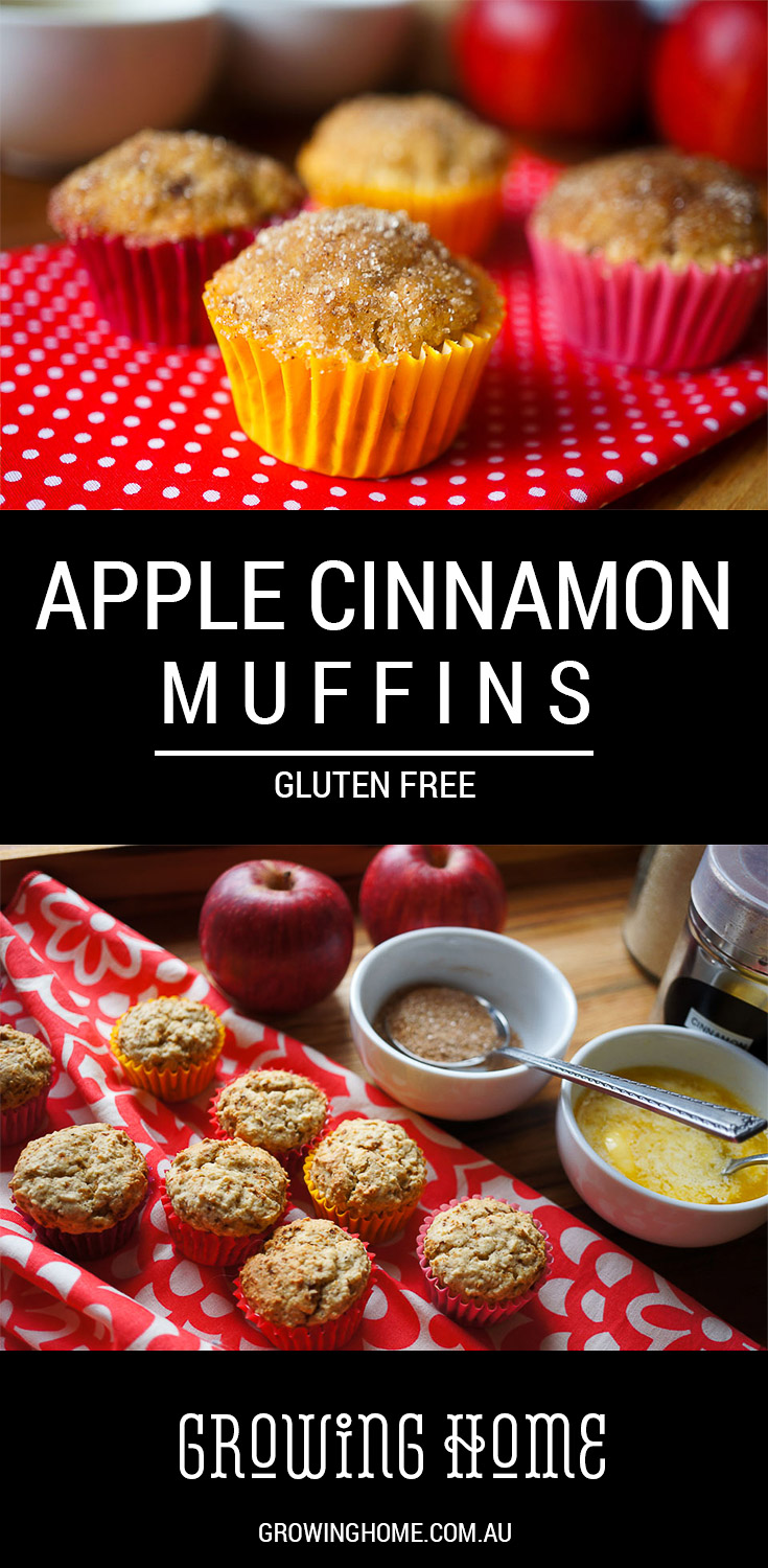 Apple Cinnamon Muffins Gluten Free, Low FODMAP Growing Home