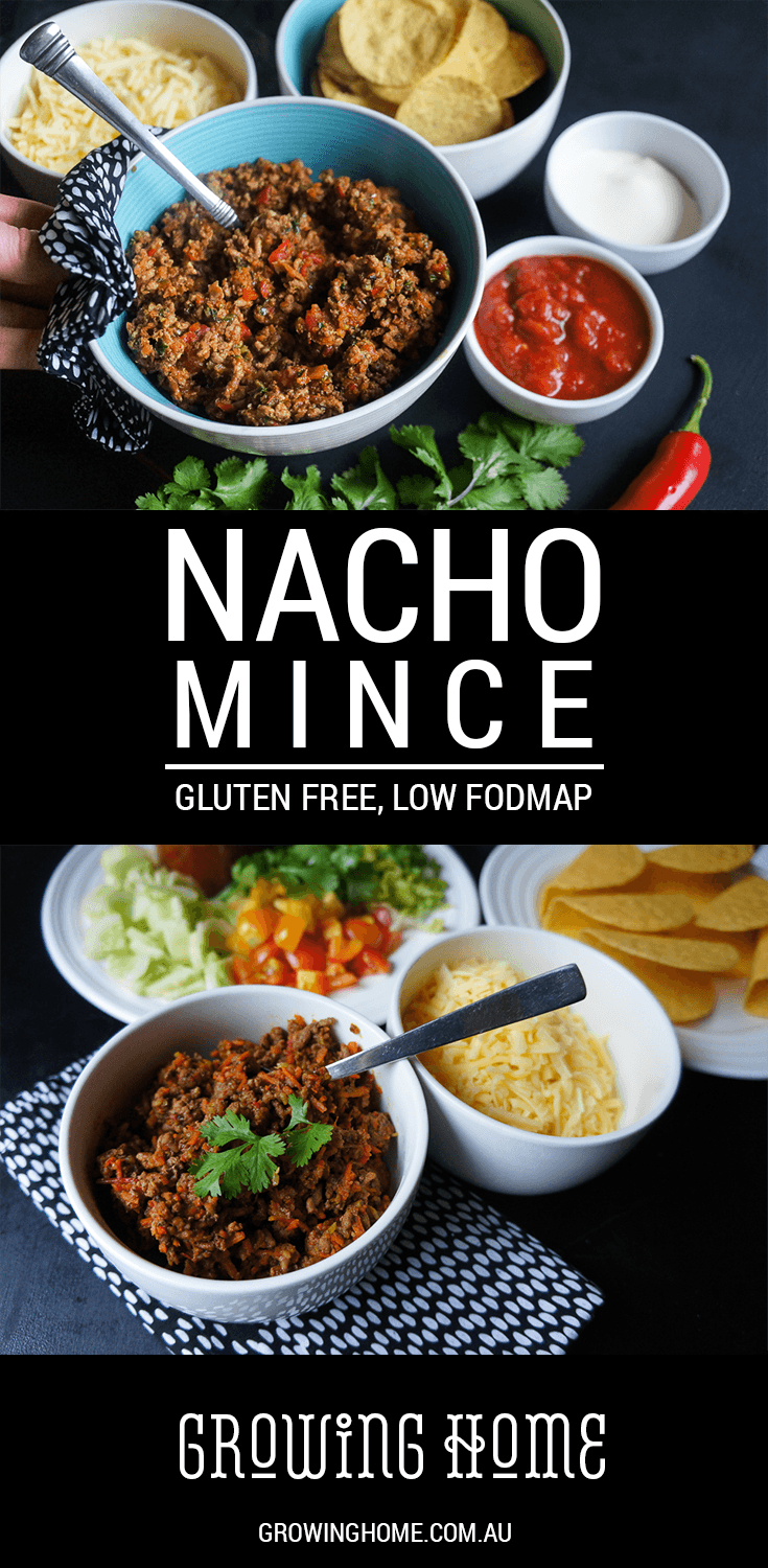 nacho-mince-gluten-free-low-fodmap-growing-home