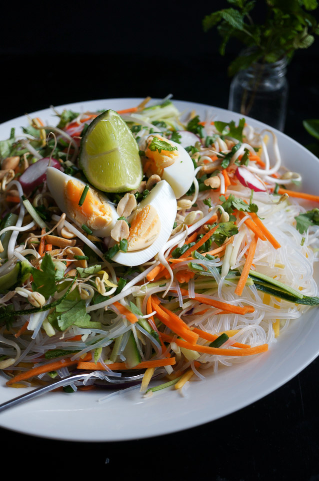 asian-style-noodle-salad-gluten-free-low-fodmap-growing-home